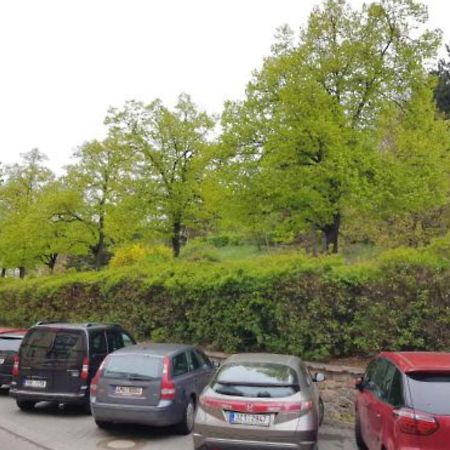 ברנו Old Town Apartment Pellicova מראה חיצוני תמונה