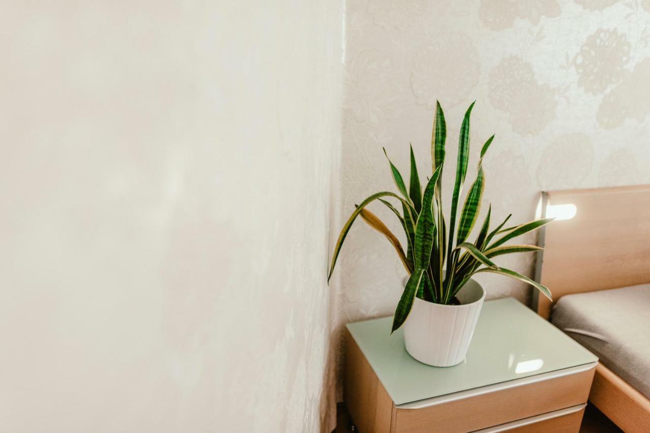 ברנו Old Town Apartment Pellicova מראה חיצוני תמונה