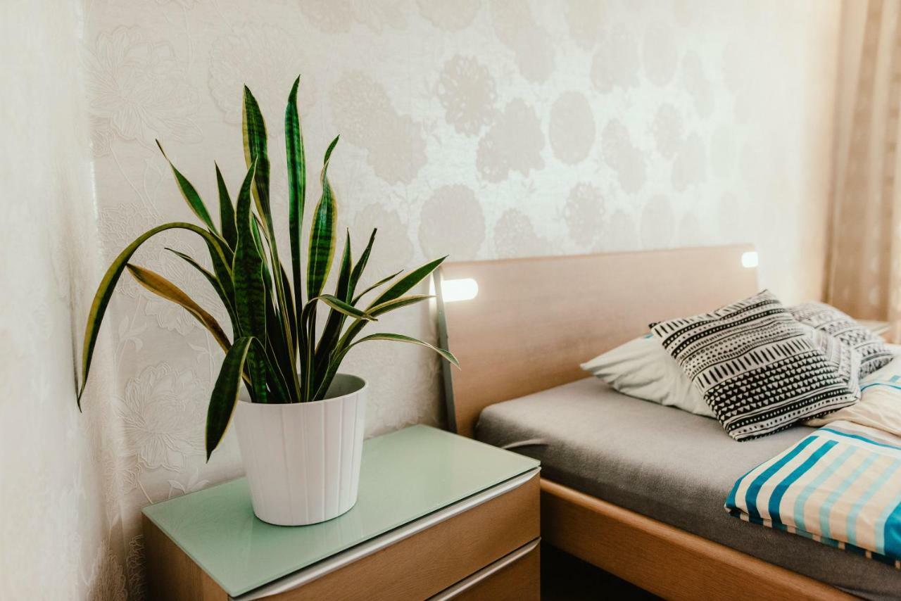 ברנו Old Town Apartment Pellicova מראה חיצוני תמונה